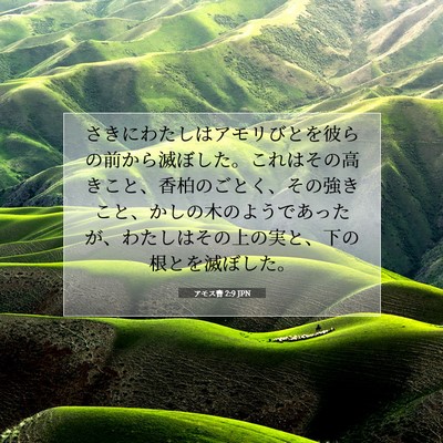アモス書 2:9 JPN 聖書の一節の画像