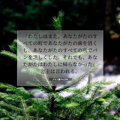 アモス書 4:6 JPN 聖書の一節の画像