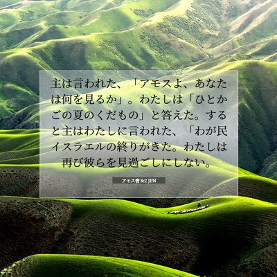アモス書 8:2 JPN 聖書の一節の画像