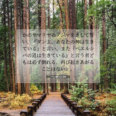 アモス書 8:14 JPN 聖書の一節の画像
