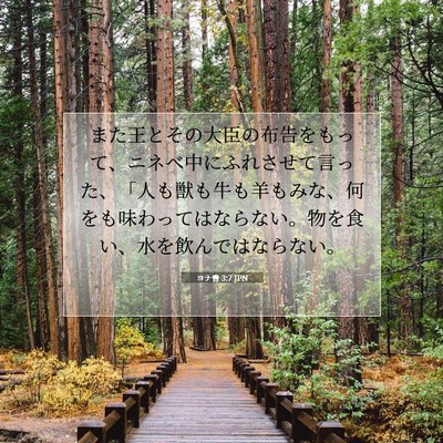 ヨナ書 3:7 聖書の一節の解説