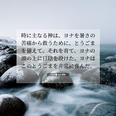ヨナ書 4:6 聖書の一節の解説