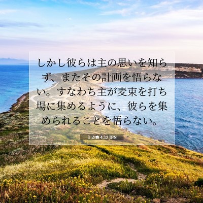ミカ書 4:12 JPN 聖書の一節の画像