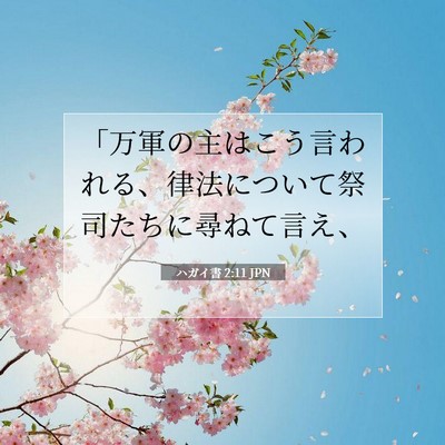ハガイ書 2:11 JPN 聖書の一節の画像