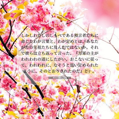 ゼカリヤ書 1:6 聖書の一節の解説
