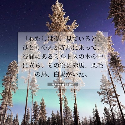 ゼカリヤ書 1:8 聖書の一節の解説