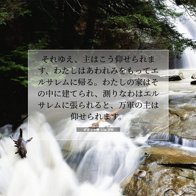 ゼカリヤ書 1:16 聖書の一節の解説