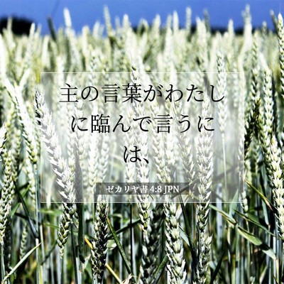ゼカリヤ書 4:8 聖書の一節の解説