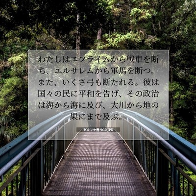 ゼカリヤ書 9:10 聖書の一節の解説