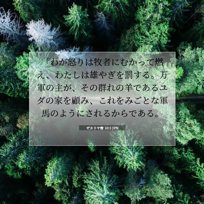 ゼカリヤ書 10:3 聖書の一節の解説