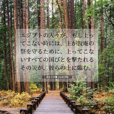 ゼカリヤ書 14:18 JPN 聖書の一節の画像