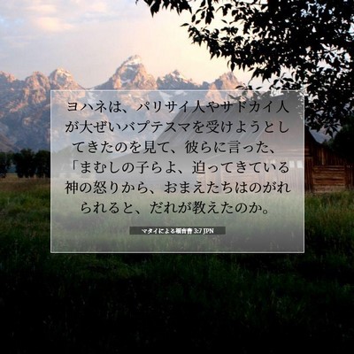 マタイによる福音書 3:7 JPN 聖書の一節の画像