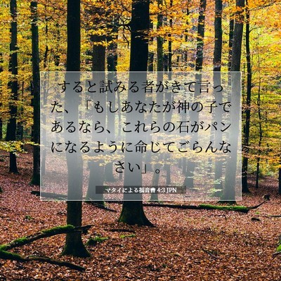 マタイによる福音書 4:3 聖書の一節の解説