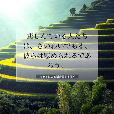 マタイによる福音書 5:4 聖書の一節の解説