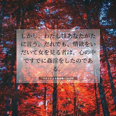 マタイによる福音書 5:28 聖書の一節の解説