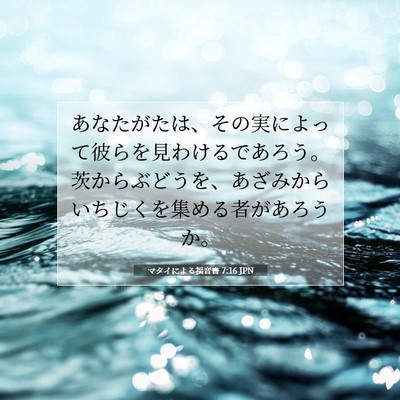 マタイによる福音書 7:16 聖書の一節の解説