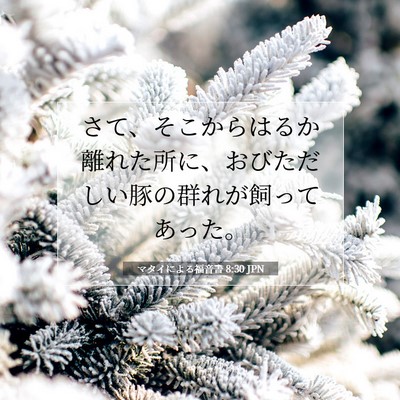 マタイによる福音書 8:30 聖書の一節の解説
