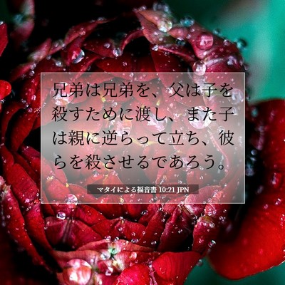 マタイによる福音書 10:21 JPN 聖書の一節の画像