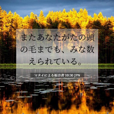 マタイによる福音書 10:30 聖書の一節の解説