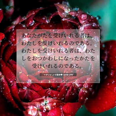 マタイによる福音書 10:40 聖書の一節の解説