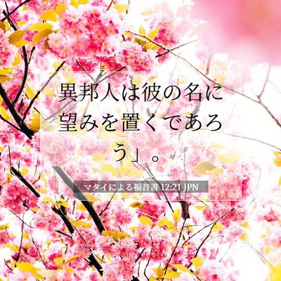 マタイによる福音書 12:21 JPN 聖書の一節の画像