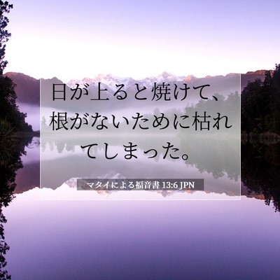 マタイによる福音書 13:6 JPN 聖書の一節の画像