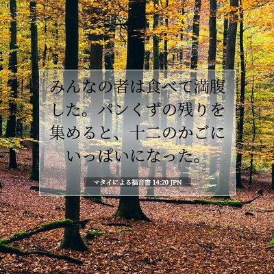 マタイによる福音書 14:20 聖書の一節の解説