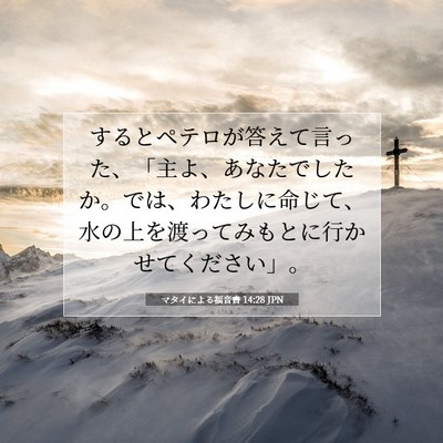 マタイによる福音書 14:28 聖書の一節の解説