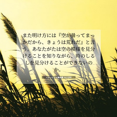 マタイによる福音書 16:3 聖書の一節の解説