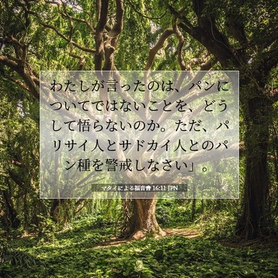 マタイによる福音書 16:11 聖書の一節の解説