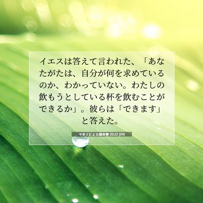 マタイによる福音書 20:22 聖書の一節の解説