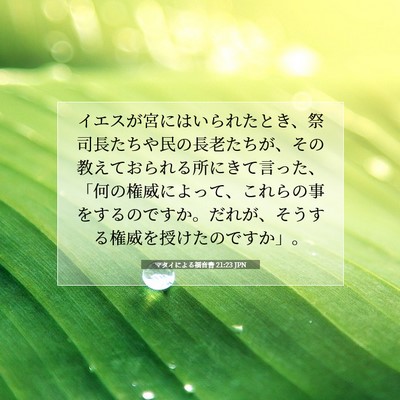 マタイによる福音書 21:23 JPN 聖書の一節の画像