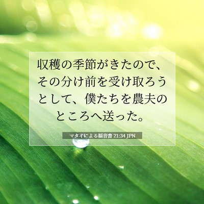 マタイによる福音書 21:34 JPN 聖書の一節の画像