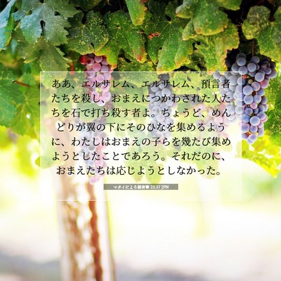 マタイによる福音書 23:37 JPN 聖書の一節の画像