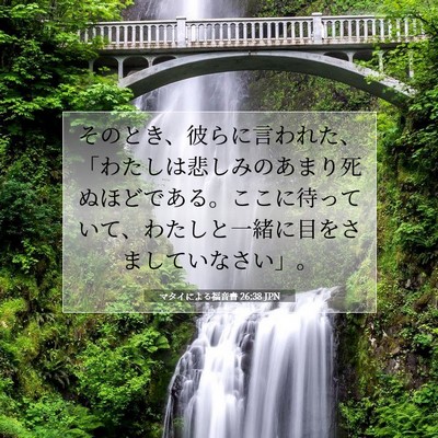 マタイによる福音書 26:38 聖書の一節の解説