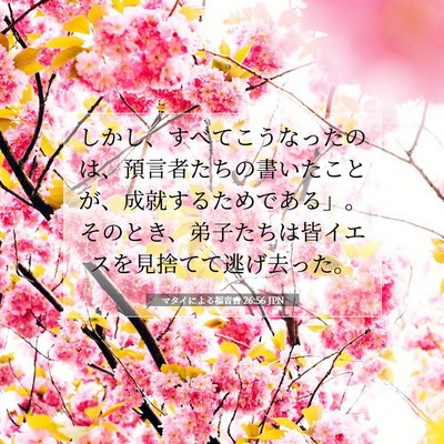 マタイによる福音書 26:56 聖書の一節の解説