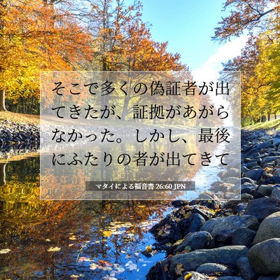 マタイによる福音書 26:60 聖書の一節の解説