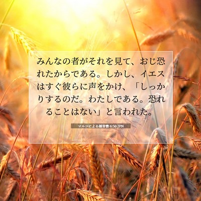 マルコによる福音書 6:50 聖書の一節の解説