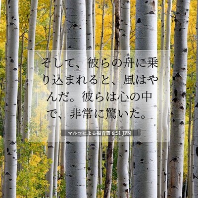 マルコによる福音書 6:51 聖書の一節の解説