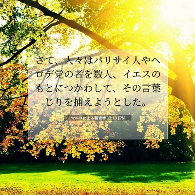 マルコによる福音書 12:13 聖書の一節の解説