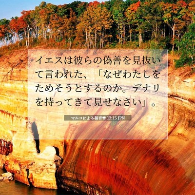 マルコによる福音書 12:15 聖書の一節の解説