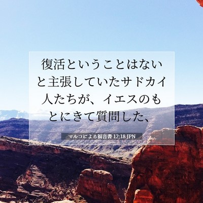 マルコによる福音書 12:18 聖書の一節の解説