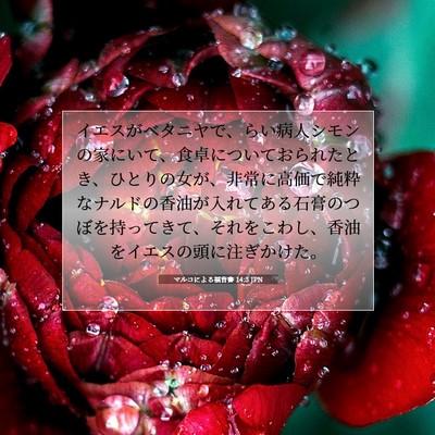 マルコによる福音書 14:3 JPN 聖書の一節の画像
