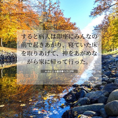 ルカによる福音書 5:25 聖書の一節の解説