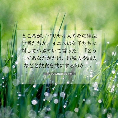ルカによる福音書 5:30 聖書の一節の解説
