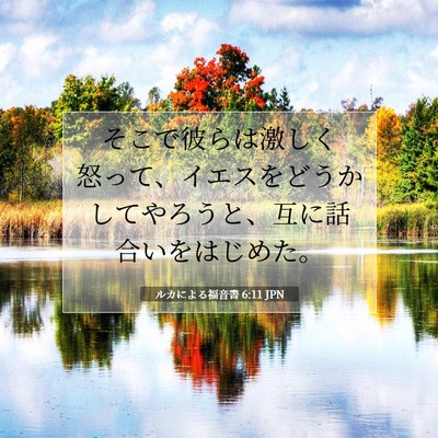 ルカによる福音書 6:11 聖書の一節の解説