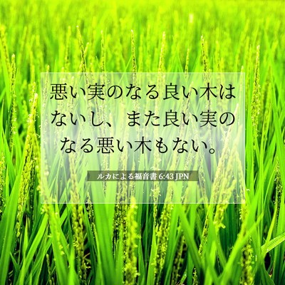 ルカによる福音書 6:43 聖書の一節の解説