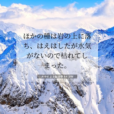 ルカによる福音書 8:6 聖書の一節の解説