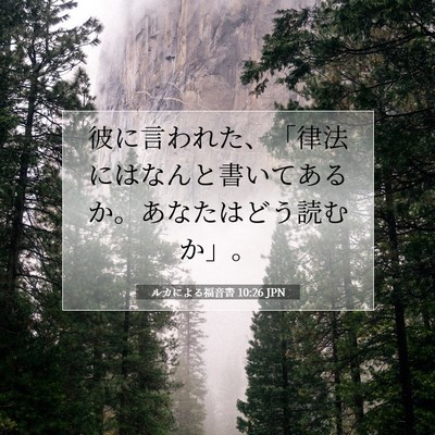 ルカによる福音書 10:26 聖書の一節の解説
