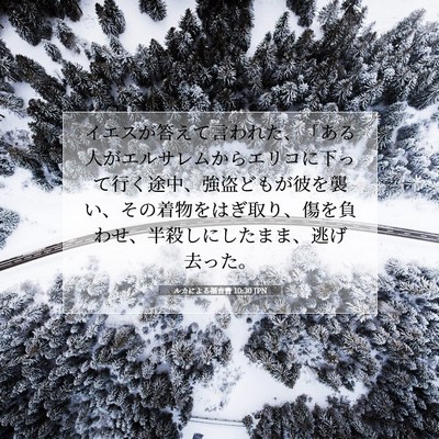 ルカによる福音書 10:30 聖書の一節の解説